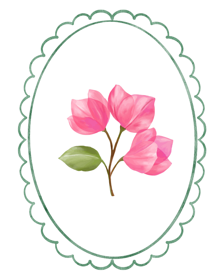 Bougainbella